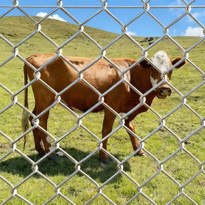 سياج شبكي حلزوني من الفولاذ المجلفن كهربائياً ومعالج حرارياً 2×2.65 مم 3 أقدام × 8.5 متر شديد التحمل مع إطار مطلي بالبودرة والبلاستيك مضاد للتسلق - Product Image 5