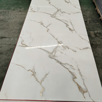 Panneaux en PVC marbré haute brillance pour la décoration murale intérieure ; Panneaux muraux intérieurs imprimés en 3D