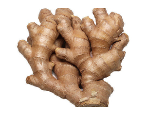 High Quality Dried Fresh <strong>Ginger</strong> Market Price Per kg Wholesale <strong>Ginger</strong> Buyers <strong>for</strong> <strong>Export</strong> - Product Image 5