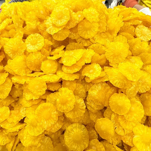 ผลไม้เขตร้อนจากเวียดนามในราคาที่ดีที่สุด // สับปะรดอบแห้ง // Ms. Selina - Product Image 1