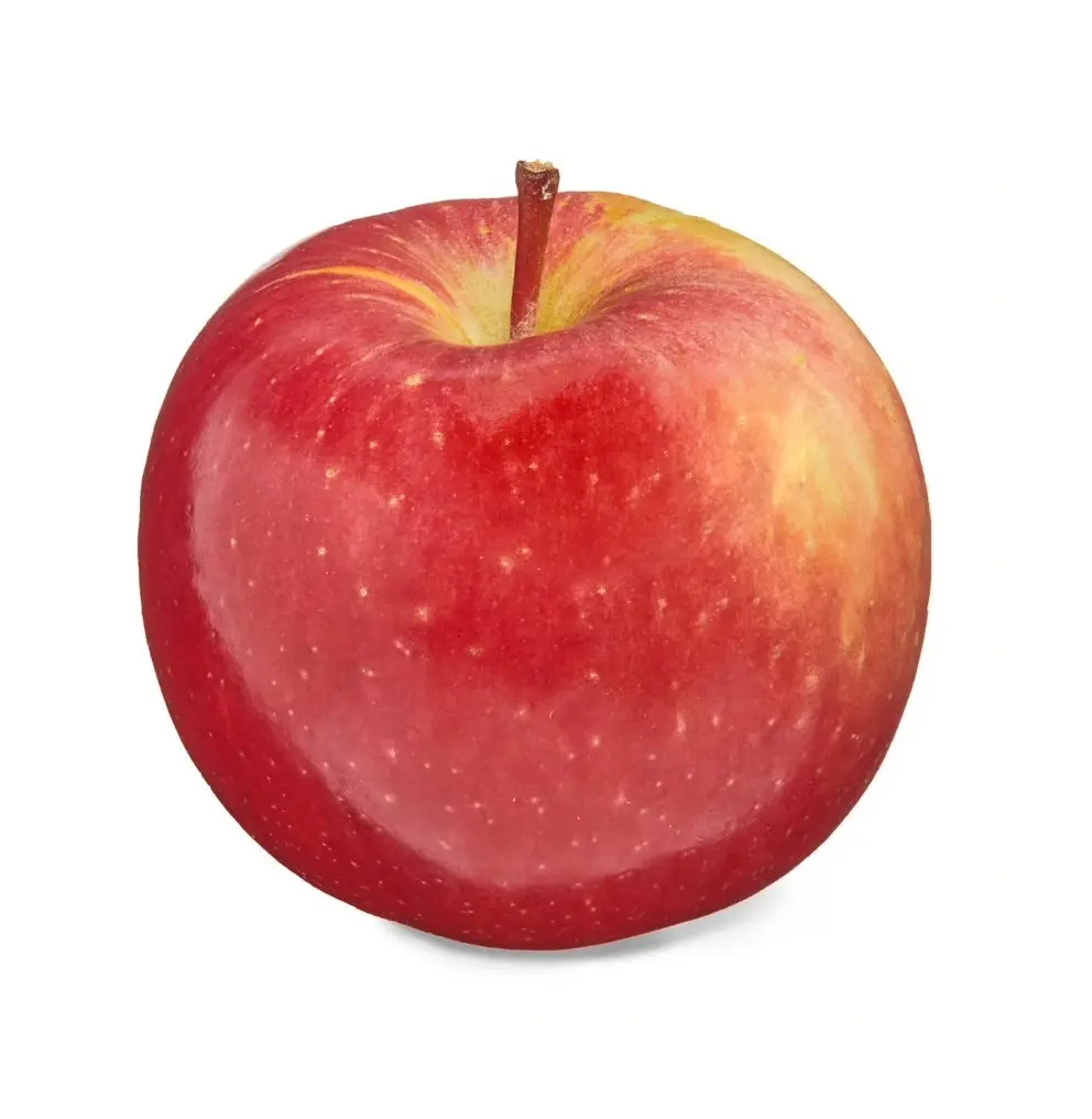 Fornitore di mele di frutta fresca esporta mela fuji a prezzi economici mela rossa