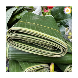 Feuilles de bananier congelées en gros, nettoyées et taillées, pour la distribution mondiale, approvisionnement direct en usine - Product Image 6