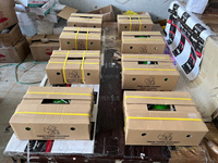 Exporteur Tropisch Fruit/ Vietnam Jonge Kokosnoot Gemakkelijk Te Openen Met Stro/Verse Kokosnoot Jonge Leverancier-Anna Do Vilaconic