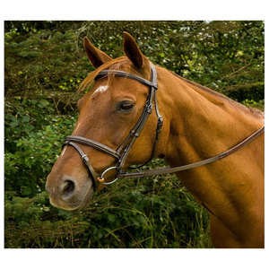 Brida de cuero paquistaní de alta calidad genuina 100% con características de seguridad, elegante Halter Racing, producto ecuestre, Pakistán - Product Image 6