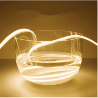 Bande LED Super Lumineuse Extérieure Étanche Flexible pour Plafond, Haute Tension 220V IP65 2700K Blanc Chaud Doux, PVC pour Parc Thématique