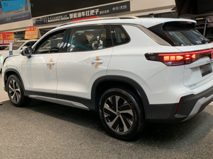 SUV Usada de Gasolina 2025, 1.5T / 2.0T, Variaciones Múltiples TSI, Automática, Interior y Exterior Impecables, Suministrada desde Japón - Product Image 4