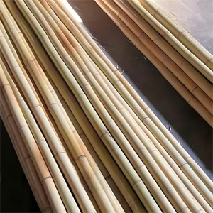 Postes de bambú al por mayor postes de bambú crudo Vietnam postes de bambú grandes para obras de construcción-BP014 - Product Image 5