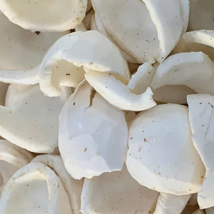 Suministro a granel de carne de coco congelada de Vietnam textura masticable orgánica OEM ideal para batidos postres horneados y aperitivos industria - Product Image 1