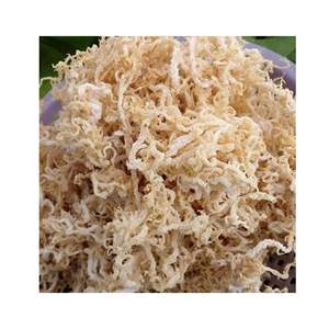 Low Price Cottonii Seaweed Grade Premium 100% <b>Dried</b> Sea <b>Moss</b>/ Irish <b>Moss</b>/ Eucheuma Cottonii - Product Image 6