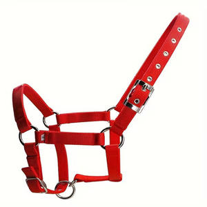 Licol de luxe pour chevaux à dégagement rapide, en sangle de polypropylène rembourrée, avec placage nickelé en alliage de zinc et perles - Product Image 1