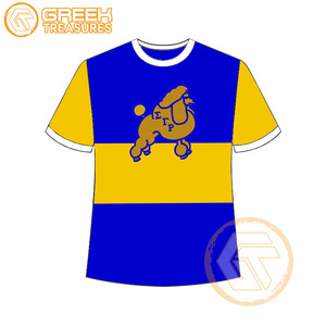 Vente en gros de t-shirt Sigma Gamma Rho pour femmes vêtements de sororité jersey de coton t-shirt respirant de haute qualité vêtements grecs pour femmes - Product Image 5