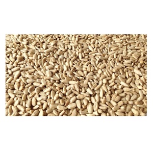 Graines de tournesol en gros, grandes, noires et blanches, 361 graines de tournesol brutes - Product Image 3