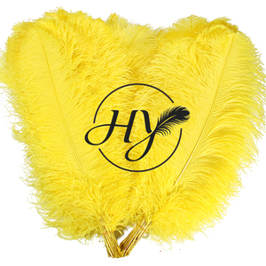 Gros plusieurs couleurs grand poteau 70-75cm plumes d'autruche <span class=keywords><strong>plume</strong></span> pour costume de carnaval mariage pièce maîtresse décorations de festival - Product Image 2