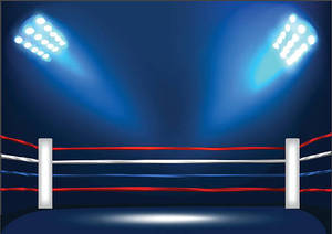 Almohadillas de esquina de anillo de boxeo cómodas personalizables Conjunto profesional de material artificial RXN de alta calidad con logotipo personalizado - Product Image 4