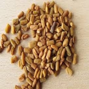Extracto de Semilla de Fenogreco Natural de Alta Calidad, Marca MKJ, Origen Assam, 24 Meses de Duración, Ingredientes Alimenticios - Product Image 1