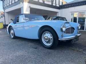 AUSTIN HEALEY 100/6 BN4 d'occasion, conduite à gauche/droite, 1958 - Product Image 2