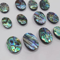 H.A. Gems Model 94 Vente chaude Cabochon en coquille d'ormeau naturelle poli, pierre gemme en vrac pour la lithothérapie, formes variées pour la fabrication de bijoux