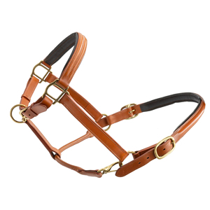 Harnais souple et résistant pour chevaux, design en nylon réglable, boucles confortables pour l'entraînement et le contrôle en équitation. - Product Image 1