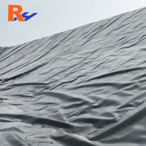 भू-मम्ब्रिन के आपूर्तिकर्ताओं ने जियोमेम्ब्रिन को मेक्सिकन जिमम्ब्रिना पेसिकुटुरा गुटेमाला का निर्माण किया - Product Image 3