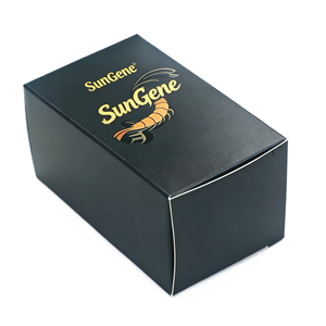 Boîte noire de luxe personnalisée avec estampage à chaud doré pour flacon d'huile essentielle carré de 50 ml et 100 ml, emballage en matériaux recyclés, éponge - Product Image 3