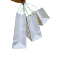 Sacs en papier kraft blanc/marron durables sur mesure en gros avec poignée longue, écologiques, recyclables, impression précise, qualité supérieure