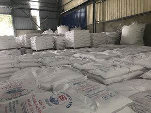 POLVO DE CALCITA NATURAL DE ALTA PUREZA CACO3 98.5% PARA MÚLTIPLES APLICACIONES INDUSTRIALES FABRICANTE DIRECTO DE VIETNAM - Product Image 4