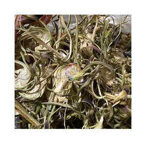 Vietnam Usine Directe Fleur D'artichaut Cool Corps Thé Herbe Vente Internationale En Vrac/Sac Prix D'emballage - Product Image 6