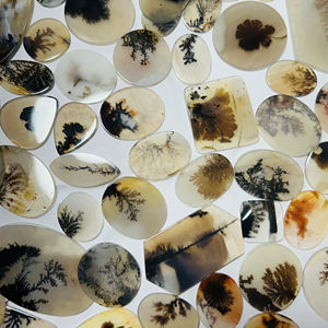 Piedras preciosas sueltas de ágata dendrítica Shazar de alta calidad, cabujón dendrítico Natural de forma y tamaño Mixto para hacer piedras de joyería, - Product Image 2