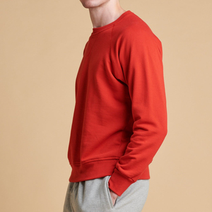 New Arrival Winter Wear Crew Neck <b>Jumper</b> For Men Organic Cotton Sweatshirt Men <b>Pullover</b> Sustainable Sweat Shirts - Product Image 4