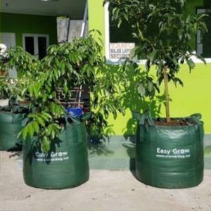 High Quality 100 Liter UV Resistant Green Heavy Duty <b>Grow</b> <b>Bag</b> for Gardening and Farming with 4 Handles for Flowers - Product Image 4