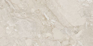 Fabricación de baldosas de porcelana vitrificada en existencias regulares de la colección Premium EN LA India para empresas corporativas. - Product Image 4