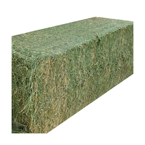 Hierba de heno de alfalfa de alta calidad para alimentación de ganado en cantidad a granel, precio barato al por mayor, alimentación animal - Product Image 1