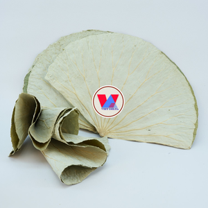 ใบบัวแห้ง2024เวียดนามเป็นมิตรกับสิ่งแวดล้อม - Product Image 1