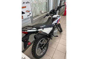 Prêt à être expédié : 2025 XR 150L - Product Image 2