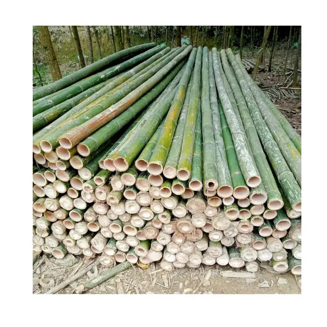 Superior Vietnamese items made from natural bamboo are excellent for the environment and are the best option for green projects