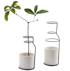 Vase à fleurs hydroponique de conception simple terrarium avec support en métal prix de gros Vase en fer de luxe décor de mariage végétal - Product Image 3