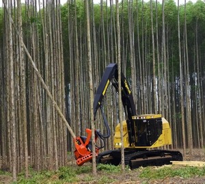 Bûches de bois de rose pour bûches de bois de rose - Product Image 6