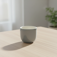 3460426A-0.2 Nouvelle conception nordique, tasse à thé en porcelaine résistante à la chaleur, durable, pour la dégustation de thé, usage domestique ou au bureau
