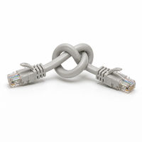 Kabel Patch XXD-CAT5E-101 RJ45 UTP Lunak Tembaga Terpilin 8-Konduktor Kabel Ethernet Patch Cord Cat5e Selubung PVC Kabel Jaringan