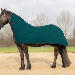 उत्कृष्ट गुणवत्ता 2025 घोड़े के रग्स हल्के वजन वाले स्वेज सर्दियों के घोड़े की सवारी कंबल ओएम - Product Image 2