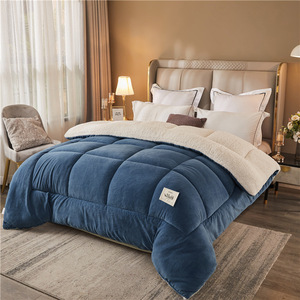 Nhà Máy Bán Hàng Trực Tiếp Dày Mùa Đông Ấm Áp Chăn Cừu Nhung Chăn Fluffy <span class=keywords><strong>Comforter</strong></span> Mùa Đông Tấm Ga Giường Thiết Lập - Product Image 2