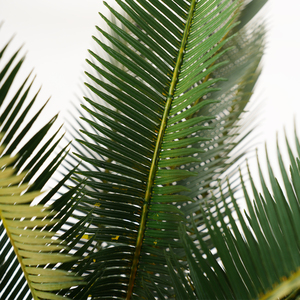 Cây cảnh giả <span class=keywords><strong>Cycad</strong></span> bán buôn, trang trí trong nhà/ngoài trời, chất liệu nhựa, có chậu, đồ trang trí sân vườn nhân tạo, nguồn gốc từ nhà máy - Product Image 3