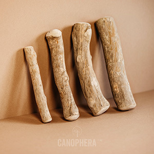 Juguete para masticar perro de madera de café ecológico Natural 100% de Vietnam Mary - Product Image 4