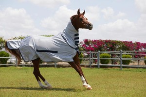 Manta Premium Antimoscas para Caballos con Cuello Completo - Product Image 3