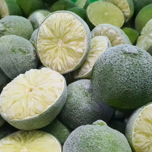 LIME VERT CONGELÉ DE QUALITÉ SUPÉRIEURE EN VRAC DU VIETNAM POUR L'EXPORTATION - Product Image 1