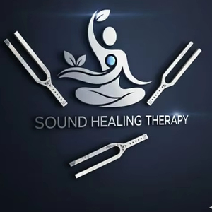 Ensemble de diapasons en aluminium Eisco Labs de 13 pièces dans un coffret en bois - Product Image 1