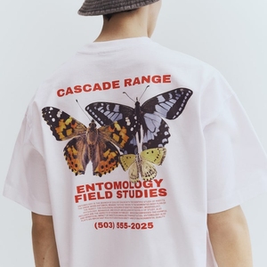 เสื้อยืดแขนสั้นสำหรับผู้ชายเสื้อผ้าลำลองดีไซน์คุณภาพสูงเสื้อทรงหลวมผ้าคอตตอน100% สำหรับฤดูร้อน - Product Image 1