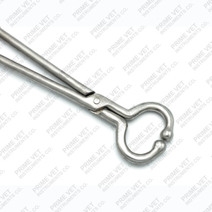 Prime Vet's Professional 19 "Restricción de Nariz de toro de acero inoxidable Mango largo Agarre Premium resistente para uso agrícola. - Product Image 3