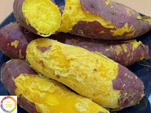 Suministro a granel de batata congelada de Vietnam a precio asequible - Product Image 4
