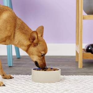 High Quality Natural Porcelain Bowl Handicraft <b>Ceramic</b> Kitchen Tool Durable for <b>Dogs</b> Business Gifts Custom Color Size Modern - Product Image 3